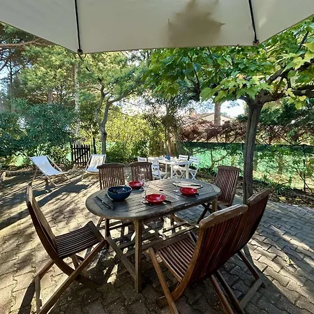 Jolie Maison Avec Terrasse Cyprien Sc175-489 Saint-Cyprien (Pyrenees-Orientales)