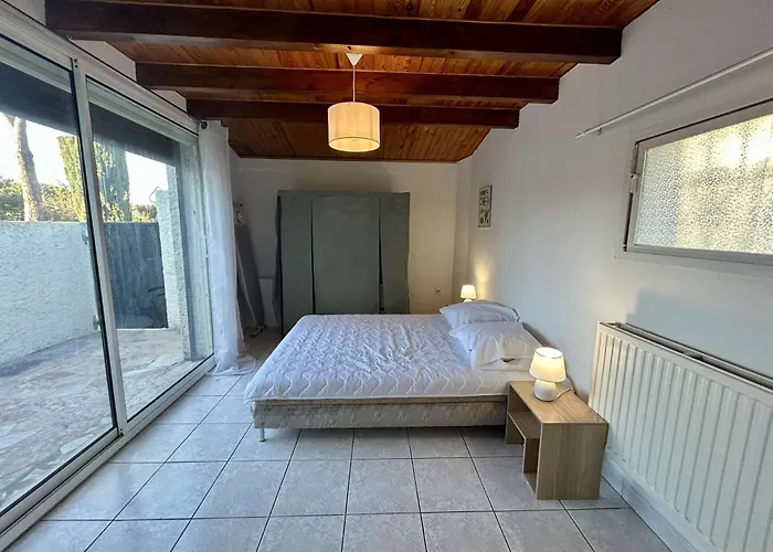 Jolie Maison Avec Terrasse Cyprien Sc175-489